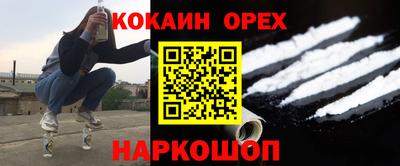 гашик Гатчина