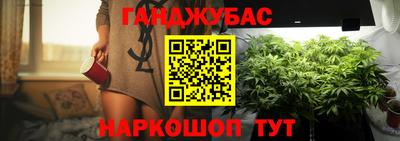 гашик Гатчина