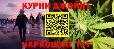 гашик Гатчина