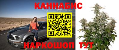 гашик Гатчина