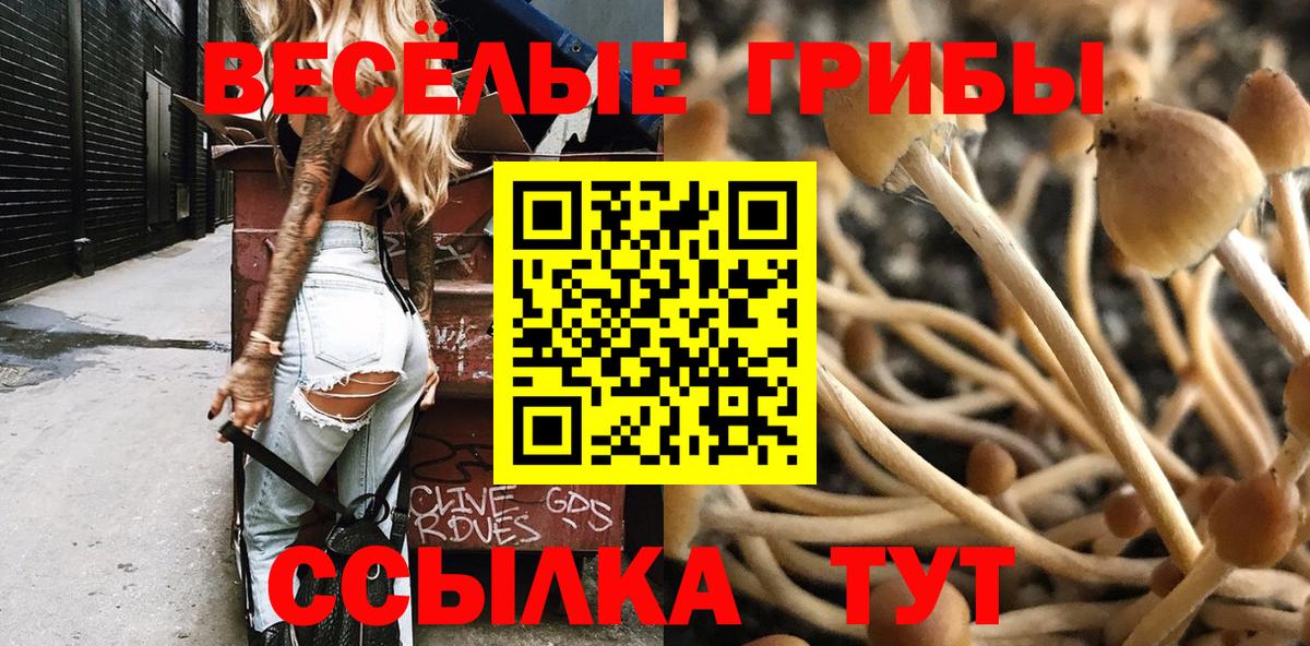 Нурлат  как найти   Вход с VPN  Псилоцибиновые грибы мухоморы 