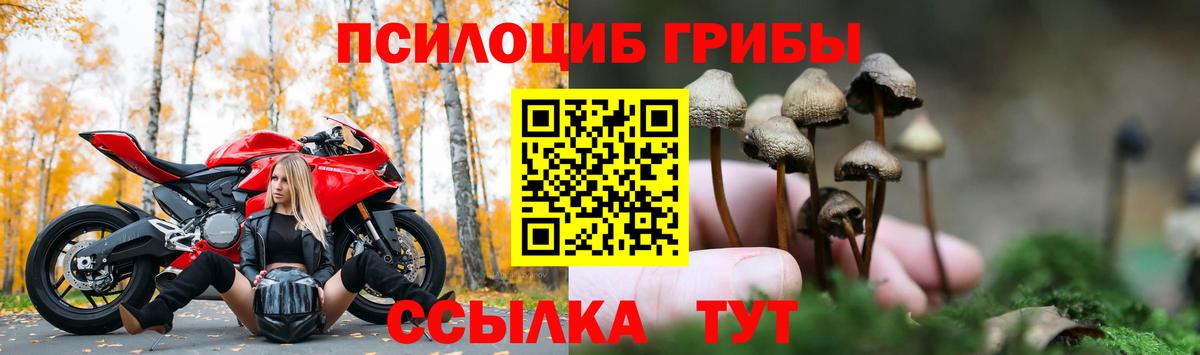 Псилоцибиновые грибы прущие грибы Нурлат